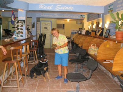 Coco is the dog who hangs out at an internet caf&eacute; and bar operated by his owner, Steve DeMaid