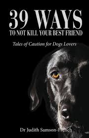 39 Ways To Not Kill Your Best Friend book cover