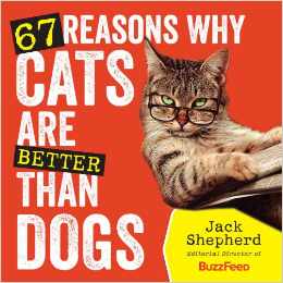 67 Reasons Why Cats Are Better Than Dogs