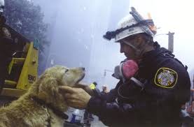 9/11 Rescue Dog