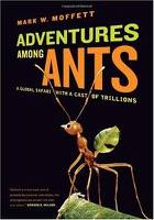Adventures Among Ants book cover