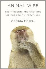 Animal Wise book cover