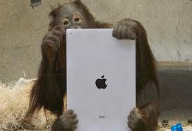 Ape with iPad