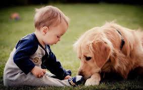 Baby and Dog