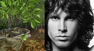 Barbaturex Morrisoni Lizard and Jim Morrison