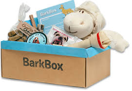 BarkBox