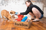 Bark Box