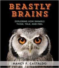 Beastly Brains Book Cover