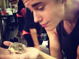 Justin Bieber holding his hamster