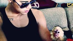 Justin Bieber with his Mally, his monkey