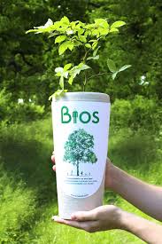 Bios Urn