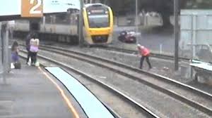 Bird on Train Track