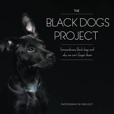 Black Dogs Project Book Cover