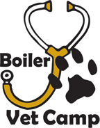 Boiler Vet Camp Logo