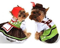 Boy and Girl Dog Costumes