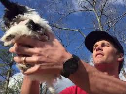 Tom Brady and dog Fluffy