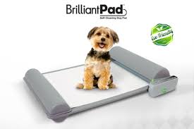 BrilliantPad