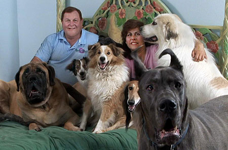 Burt Ward and Wife With Dogs on Bed