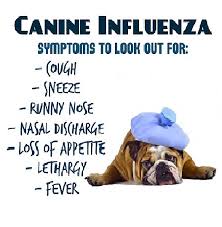 Canine Flu