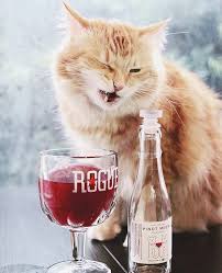 Cat Drinking Wine