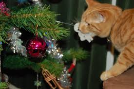 Cat Playing With Ornament