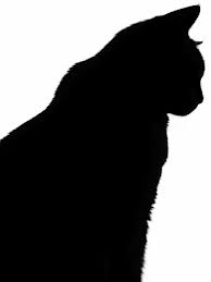 Cat Silhouette