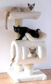 Cat Tree