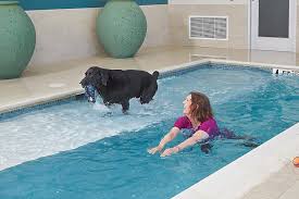 Cathy Alter Swimming in Dog Pool