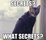 Cat with secrets