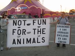 Not Fun For The Animals sign at circus