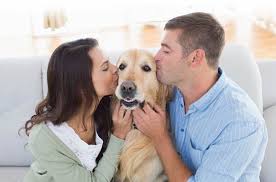 Cloning Family Dog