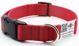 Dog Collar