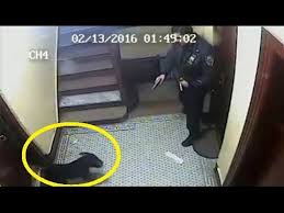 Cop Shoots Dog in Hallway
