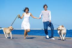 A couple with two dogs on beach