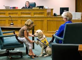 Dog in courtroom with girl