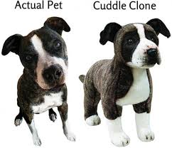 Cuddle Clone