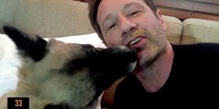 David Duchovny and Dog  