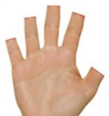 Human Hand if it were Declawed
