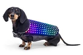 DiscoDog Coat