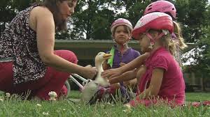 Diva Duck with Children