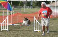 Dog Agility