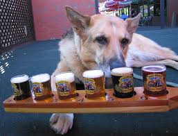 Dog In Brewery