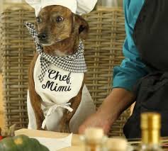 Dog in chef hat being served a meal