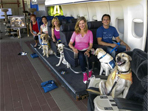 Flight simulator for dogs and their people