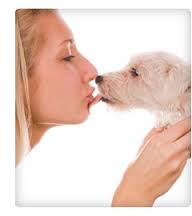 Human Kissing Dog