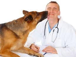 Dog Kissing Vet