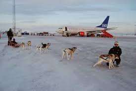 Dog Sled Taxi