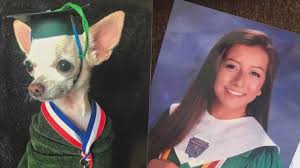 Graduation Dog Photo Swap