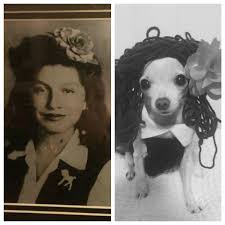 Grandmother Dog Photo Swap