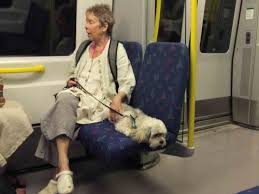 Woman and dog on train